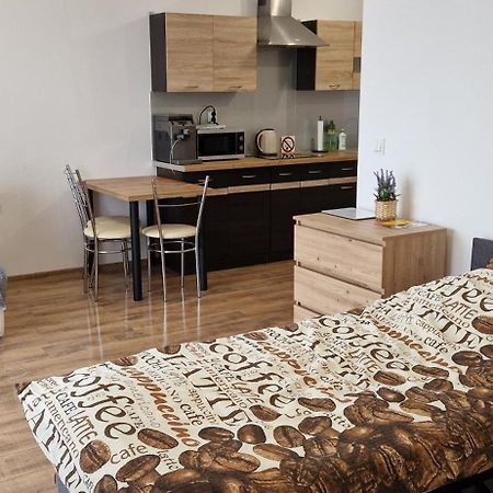 Apartament Sloneczny Костжин над Одрон Екстериор снимка